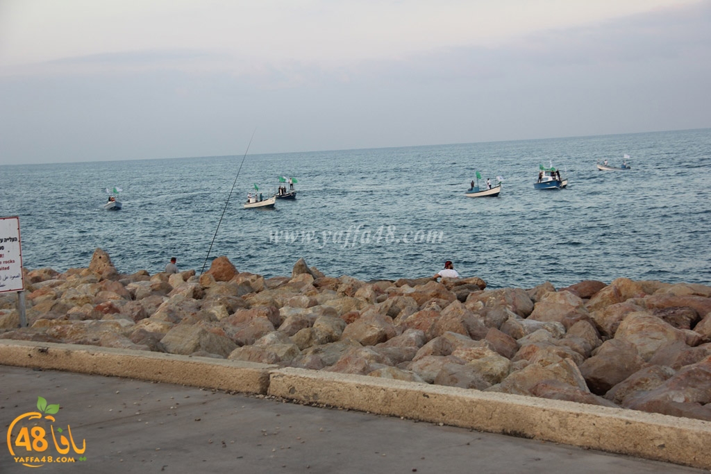 iste3rad sayaden yaffa (46).JPG